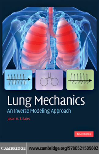 Lung Mechanics: An Inverse Modeling Approach