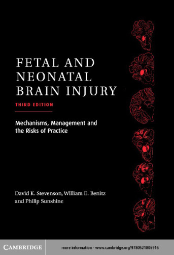 Fetal and Neonatal Brain Injury: Mechanisms, Management, and the Risks of Practice, 3rd Edition