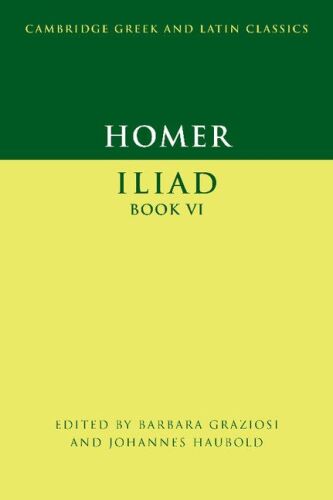 Iliad Book VI