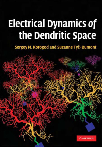 Electrical dynamics of the dendritic space