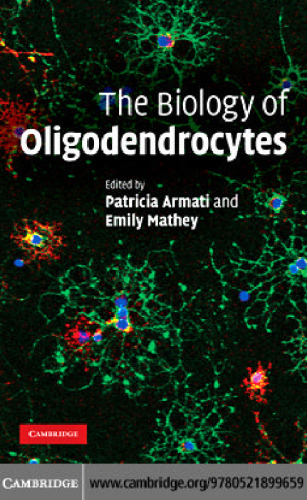 The Biology of Oligodendrocytes