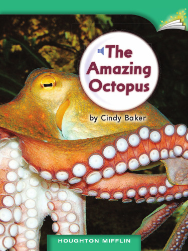 The Amazing Octopus