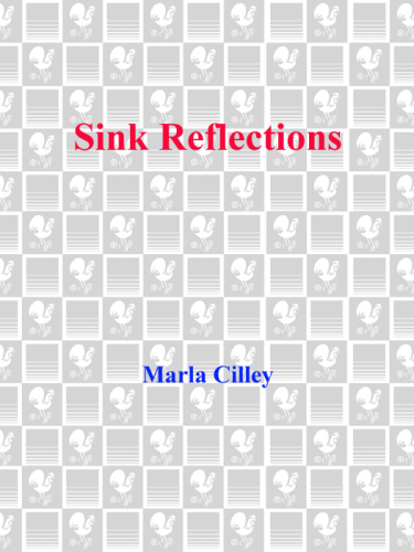 Sink Reflections