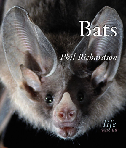 Bats