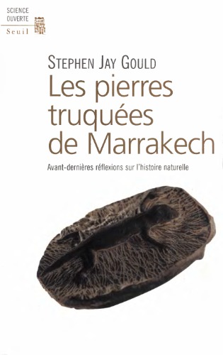 Les pierres truquées de Marrakech