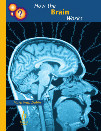 How the Brain Works