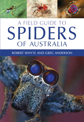 A Field Guide to Spiders of Australia