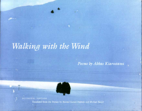 Walking with the Wind (Voices and Visions in Film, 2)