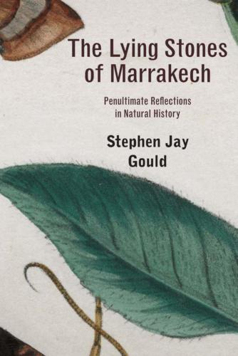 The Lying Stones of Marrakech: Penultimate Reflections in Natural History