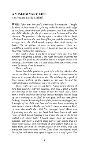 An Imaginary Life