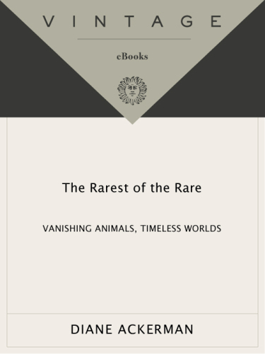 The Rarest of the Rare: Vanishing Animals, Timeless Worlds