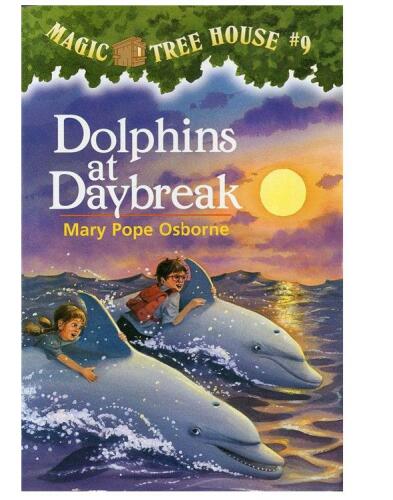 Dolphins at daybreak