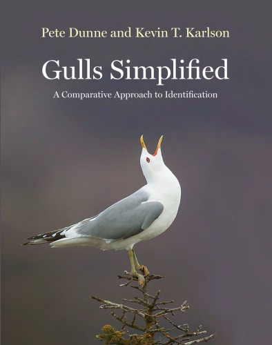 Gulls Simplified: A Comparative Approach to Identification