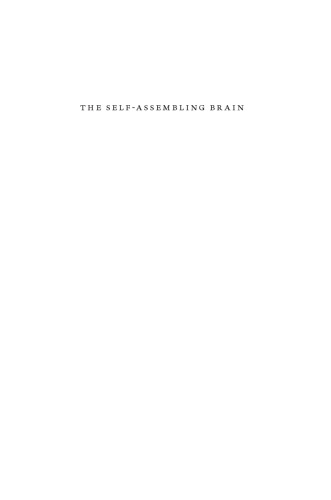 The Self-Assembling Brain: How Neural Networks Grow Smarter