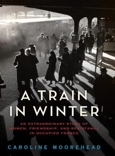 Train in Winter