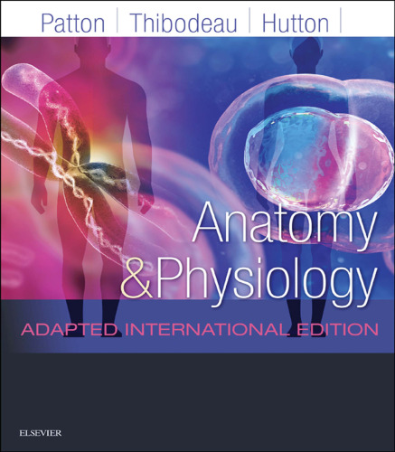 Anatomy and Physiology: Adapted International Edition