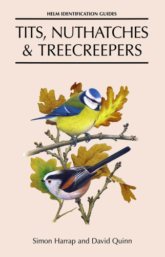 Tits, Nuthatches and Creepers