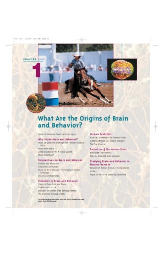 An Introduction to Brain and Behavior