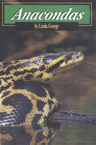 Anacondas (Snakes)