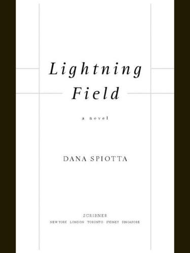 Lightning Field