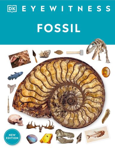 Eyewitness Fossil