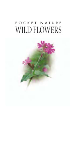 Wild Flowers (Pocket Nature)