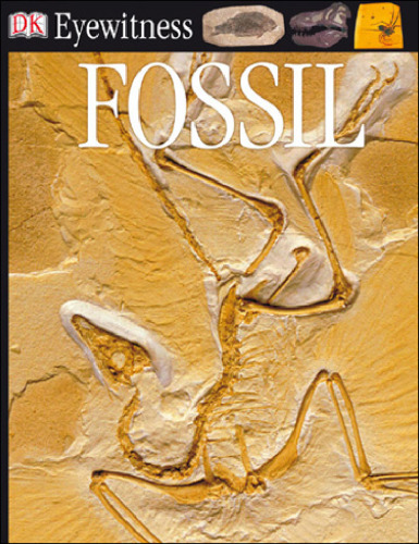 Fossil (DK Eyewitness Books)