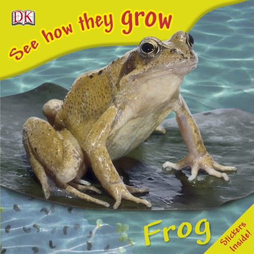 Frog ()