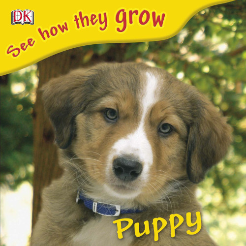 Puppy (See How They Grow)