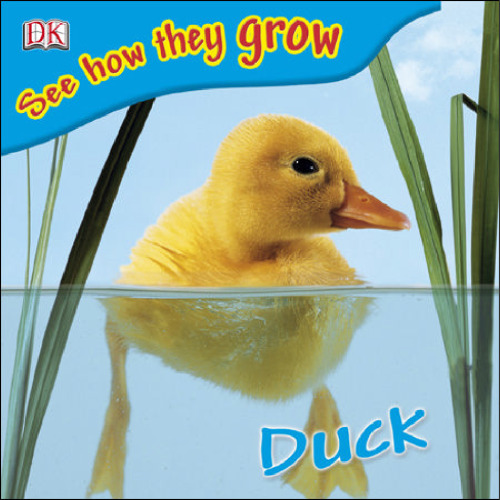 Duck ()