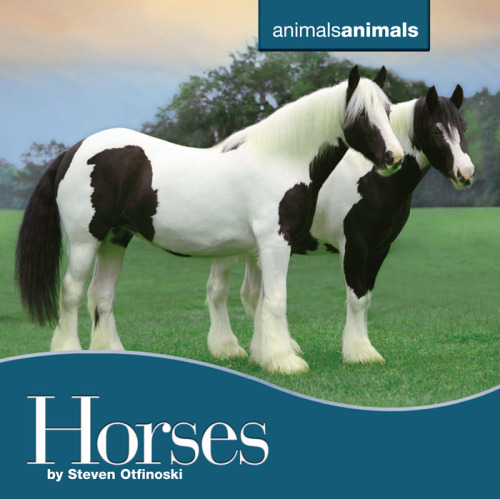 Horses (Animals Animals)