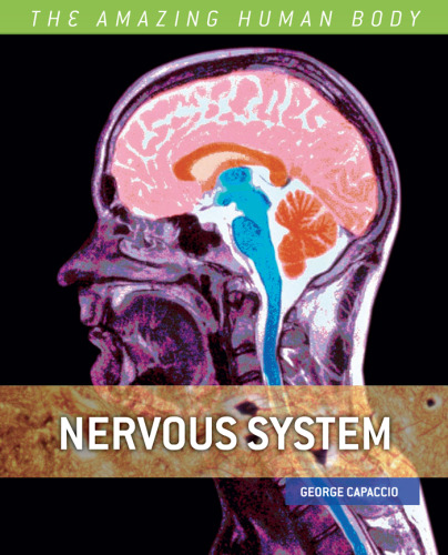 Nervous System (The Amazing Human Body)