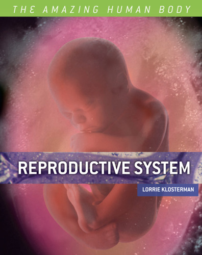 Reproductive System (The Amazing Human Body)