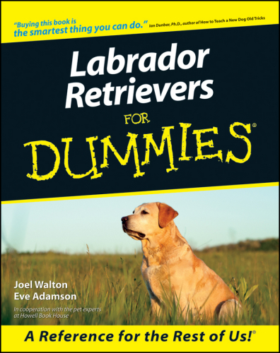 Labrador Retrievers For Dummies