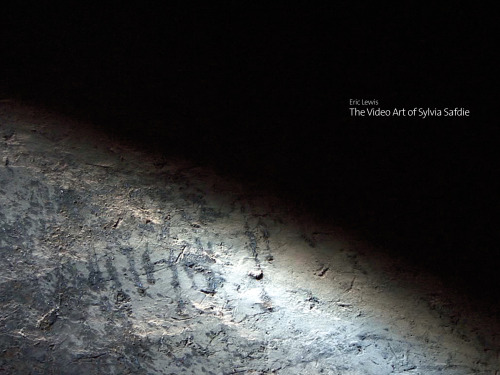 The video art of Sylvia Safdie
