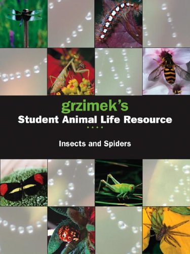 Insects and Spiders