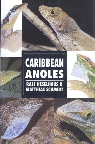 Caribbean Anoles (Herpetology series)