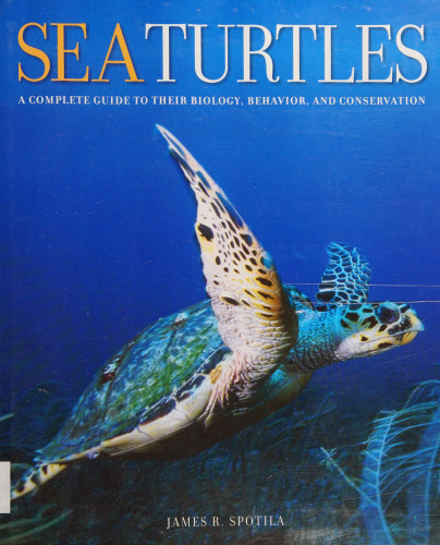 Sea Turtles: A Complete Guide to Their Biology, Behavior, and Conservation