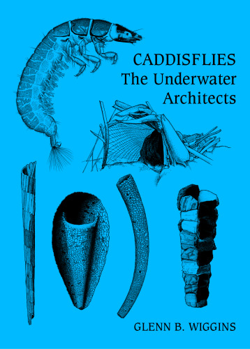 Caddisflies. The underwater architects
