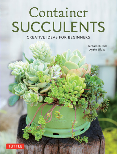 Container Succulents Creative Ideas for Beginners