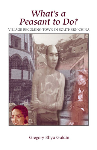 What's a Peasant to Do?: Village Becoming Town in Southern China