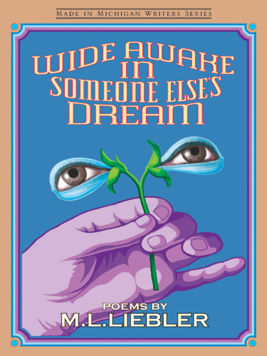 Wide Awake in Someone Else's Dream: Poems