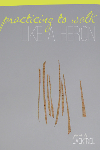Practicing to Walk Like a Heron (Made in Michigan Writer Series)