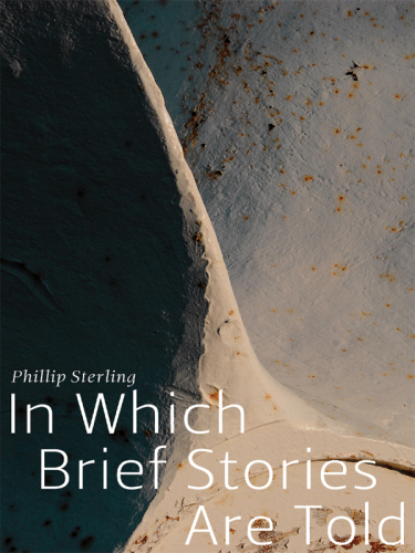 In Which Brief Stories Are Told (Made in Michigan Writer Series)