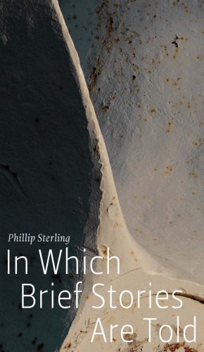 In Which Brief Stories Are Told (Made in Michigan Writer Series)