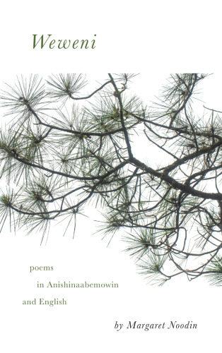 Weweni (Made in Michigan Writer Series)