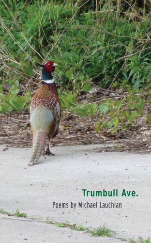 Trumbull Ave. (Made in Michigan Writer Series)