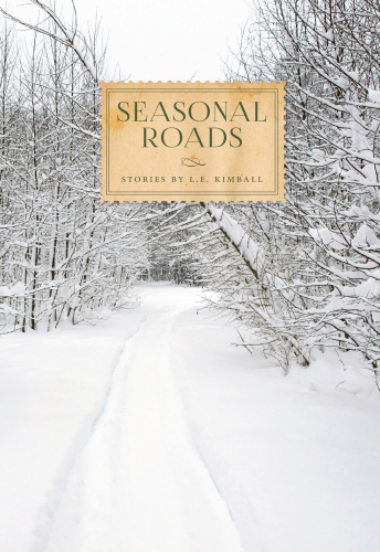 Seasonal Roads (Made in Michigan Writer Series)