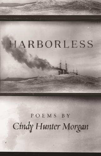 Harborless (Made in Michigan Writers Series)