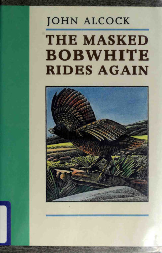The Masked Bobwhite Rides Again